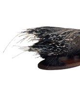 Load image into Gallery viewer, African Porcupine-Full Mount