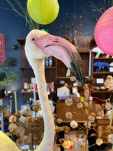 Load image into Gallery viewer, Vintage Flamingo Taxidermy-IN-STORE PICK UP ONLY