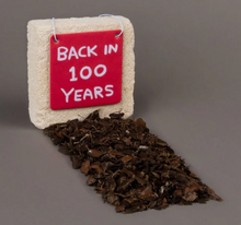 Load image into Gallery viewer, Back in 100 Years Air Freshener by David Shrigley