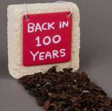 Load image into Gallery viewer, Back in 100 Years Air Freshener by David Shrigley