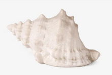 Load image into Gallery viewer, Conch Shell Decorative Light Up
