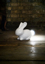 Load image into Gallery viewer, Bunny Tail Night Light