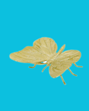 Load image into Gallery viewer, Cast Iron Gold Insects
