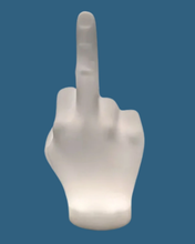 Load image into Gallery viewer, Fuck You Lamp