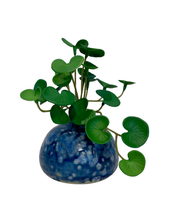 Load image into Gallery viewer, Small Vintage vase by Cecile Donze