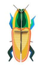 Load image into Gallery viewer, Madagascar Beetle Wall Art by Studio Roof
