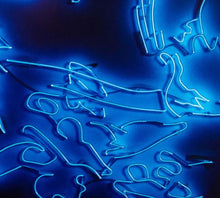 Load image into Gallery viewer, Tracey Emin 'My Favourite Little Bird' Framed Lithograph