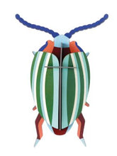 Load image into Gallery viewer, Rainbow Leaf Beetle Wall Art by Studio ROOF