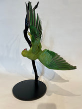 Load image into Gallery viewer, Ringneck Parakeet-Acrobatic Pose - Antoinette Ratcliffe
