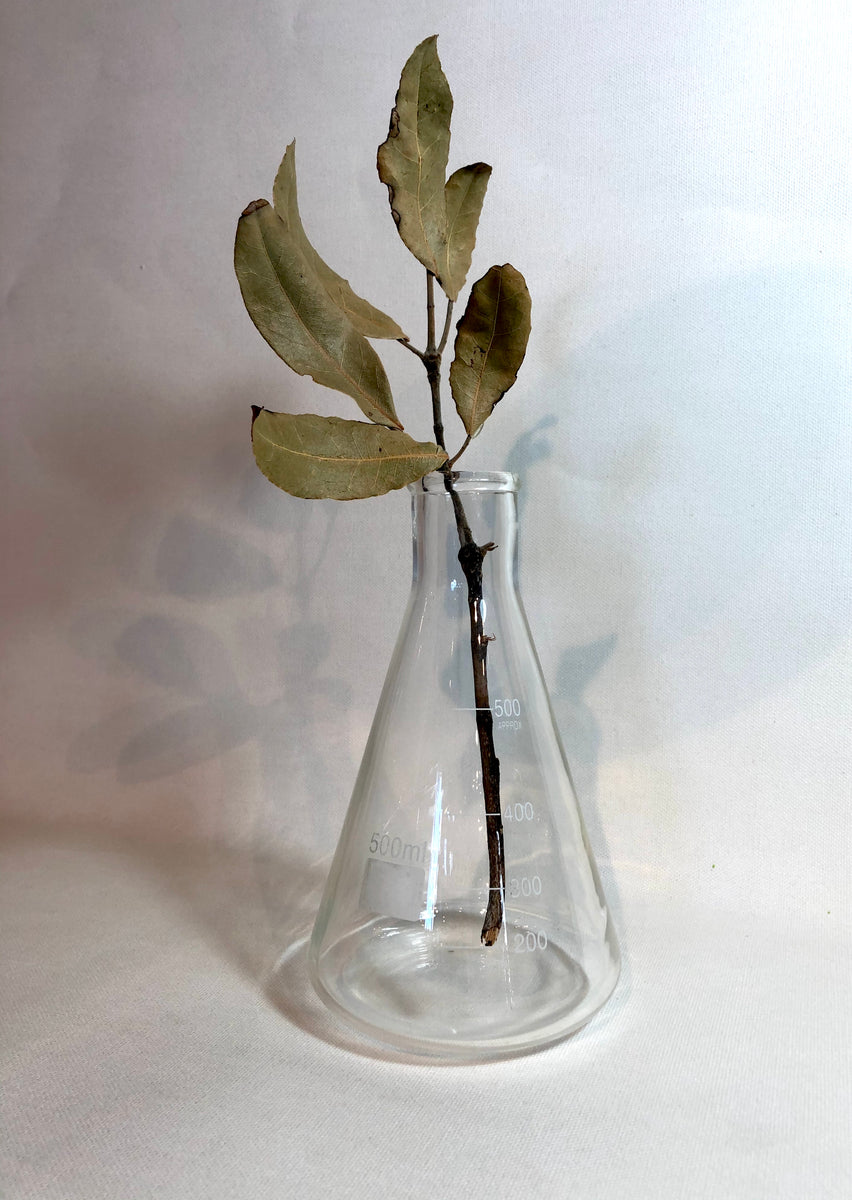 Lab FlaskGlass Brown & Co Wellington