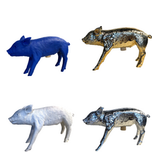 Load image into Gallery viewer, Areaware Reality Piggy Bank - Various Colours