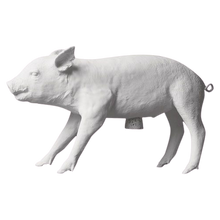 Load image into Gallery viewer, Areaware Reality Piggy Bank - Various Colours