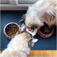 Load image into Gallery viewer, Gold Fish Pet Bowl