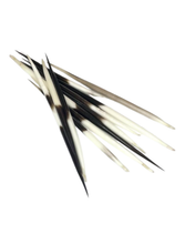 Load image into Gallery viewer, African Porcupine Quills-Large
