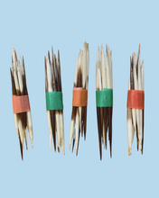Load image into Gallery viewer, African Porcupine Quills, Bunch of 10 small
