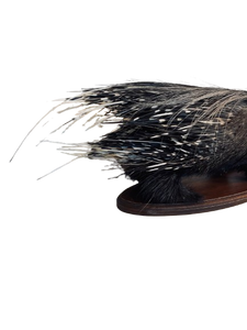 African Porcupine-Full Mount