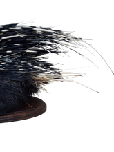 Load image into Gallery viewer, African Porcupine-Full Mount
