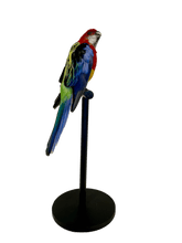Load image into Gallery viewer, Mounted Taxidermy Rosella 1
