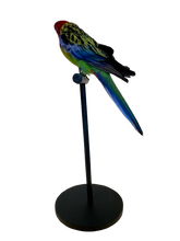 Load image into Gallery viewer, Mounted Taxidermy Rosella 2
