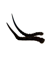 Load image into Gallery viewer, Impala Horns

