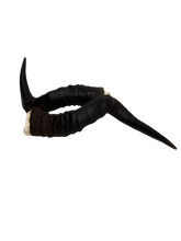 Load image into Gallery viewer, Red Hartebeest Horns
