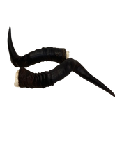 Load image into Gallery viewer, Red Hartebeest Horns

