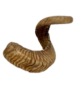 Load image into Gallery viewer, Merino Sheep Horns
