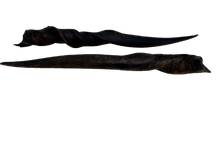 Load image into Gallery viewer, Southern Eland Horns
