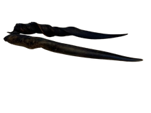 Load image into Gallery viewer, Southern Eland Horns
