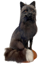 Load image into Gallery viewer, Silver/Black Fox
