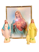 Load image into Gallery viewer, Sacred Heart of Mary Wall Plaque

