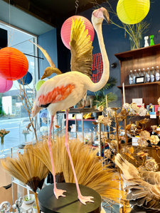 Vintage Flamingo Taxidermy-IN-STORE PICK UP ONLY