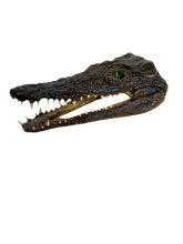 Load image into Gallery viewer, Juvenile African Crocodile Heads
