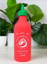Load image into Gallery viewer, Chilli Sauce Bottle Squeezy Lamp
