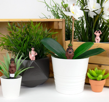 Load image into Gallery viewer, Naked Ramblers Planters
