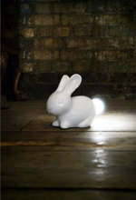 Load image into Gallery viewer, Bunny Tail Night Light
