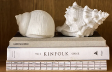 Load image into Gallery viewer, Snail Shell Decorative Light Up
