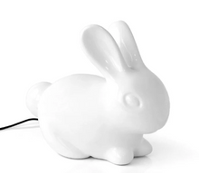 Load image into Gallery viewer, Bunny Tail Night Light
