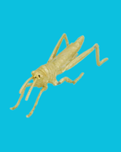 Load image into Gallery viewer, Cast Iron Gold Insects

