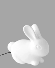 Load image into Gallery viewer, Bunny Tail Night Light

