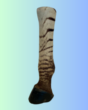 Load image into Gallery viewer, Zebra Foot
