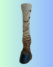Load image into Gallery viewer, Zebra Foot
