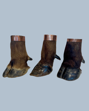 Load image into Gallery viewer, Cape Buffalo Hooves

