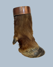Load image into Gallery viewer, Cape Buffalo Hooves
