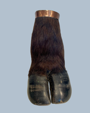 Load image into Gallery viewer, Cape Buffalo Hooves
