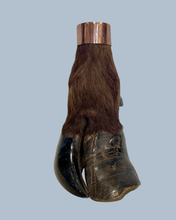 Load image into Gallery viewer, Cape Buffalo Hooves
