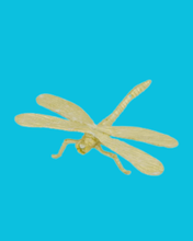 Load image into Gallery viewer, Cast Iron Gold Insects
