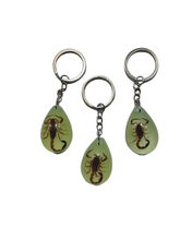Load image into Gallery viewer, Scorpion Keychain
