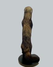 Load image into Gallery viewer, Standing Ferret-A
