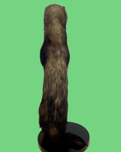Load image into Gallery viewer, Standing Ferret-B

